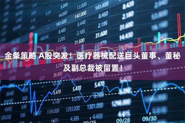 金夆策略 A股突发！医疗器械配送巨头董事、董秘及副总裁被留置！